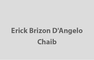APL - CONSELHO - 4 - Erick Brizon Chaib